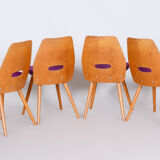 Mid Century Modern Dining chairs, designed by František Jirák for Tatra Nábytok