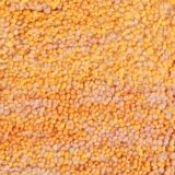 Traditional yellow wool Beni Ourain rug, size 2/3 m.