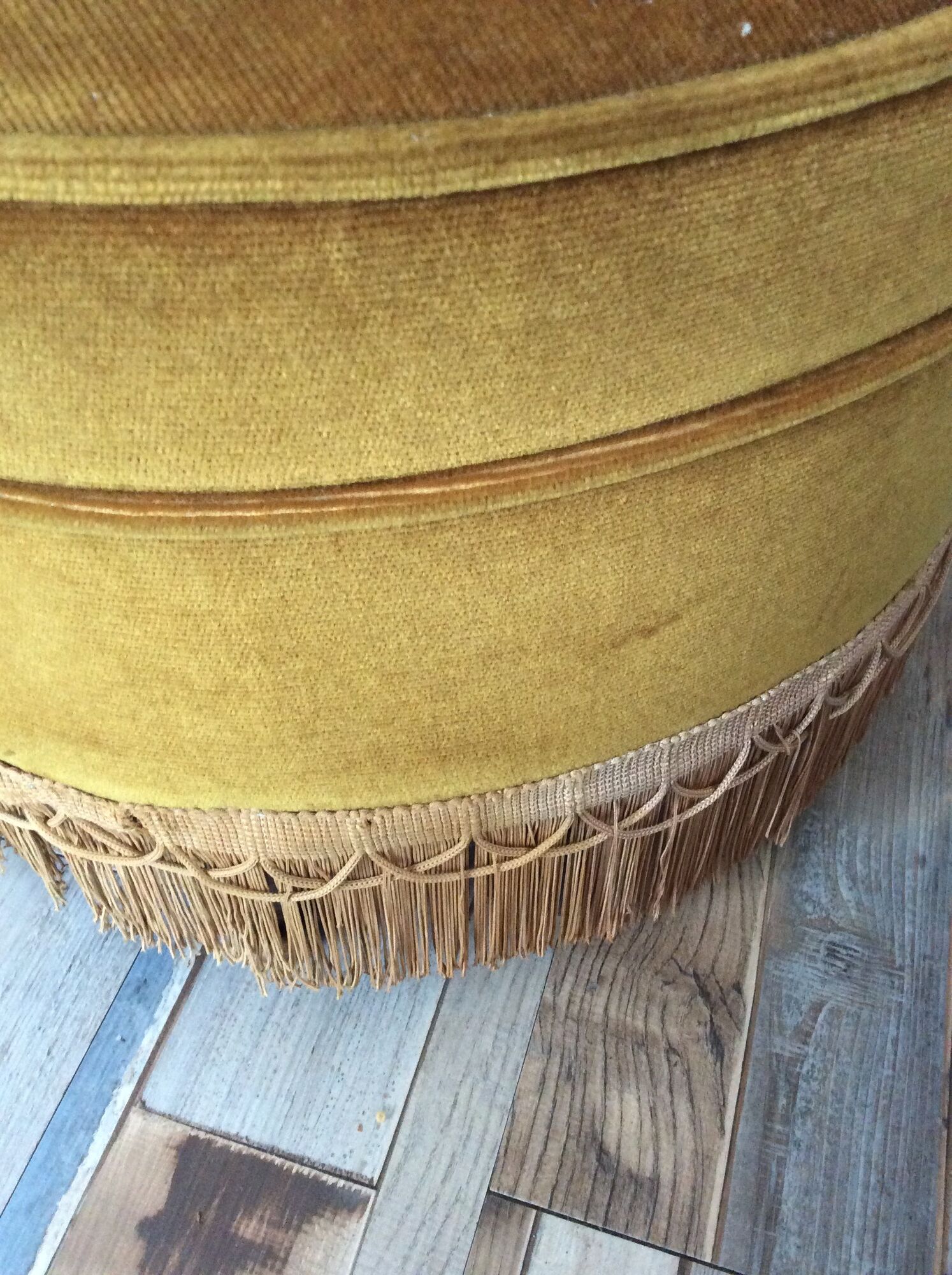 Toad armchair of the 60s and 70s in mustard yellow velvet