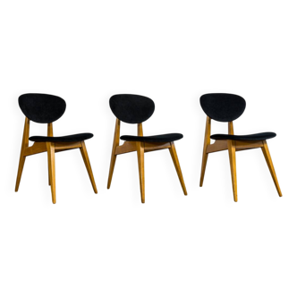 Chaises Mid-Century, Gfm 22 par J. Kędziorek, Pologne, années 1960, lot de 3