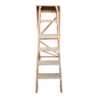 Painter's stepladder