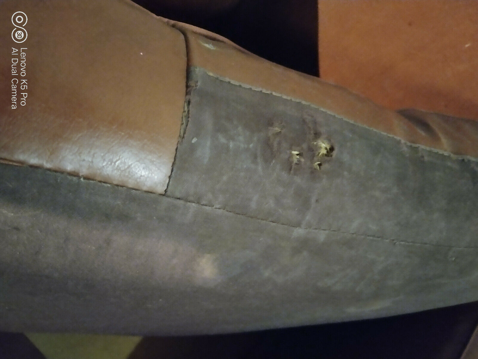 Paire de fauteuils club moustache 1940