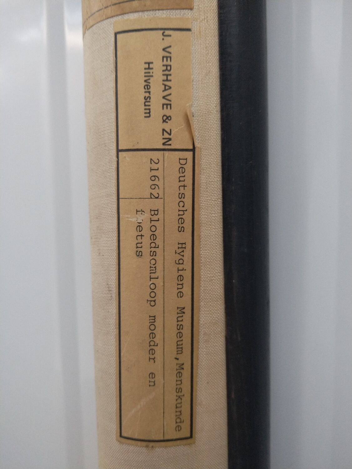 Vintage school poster