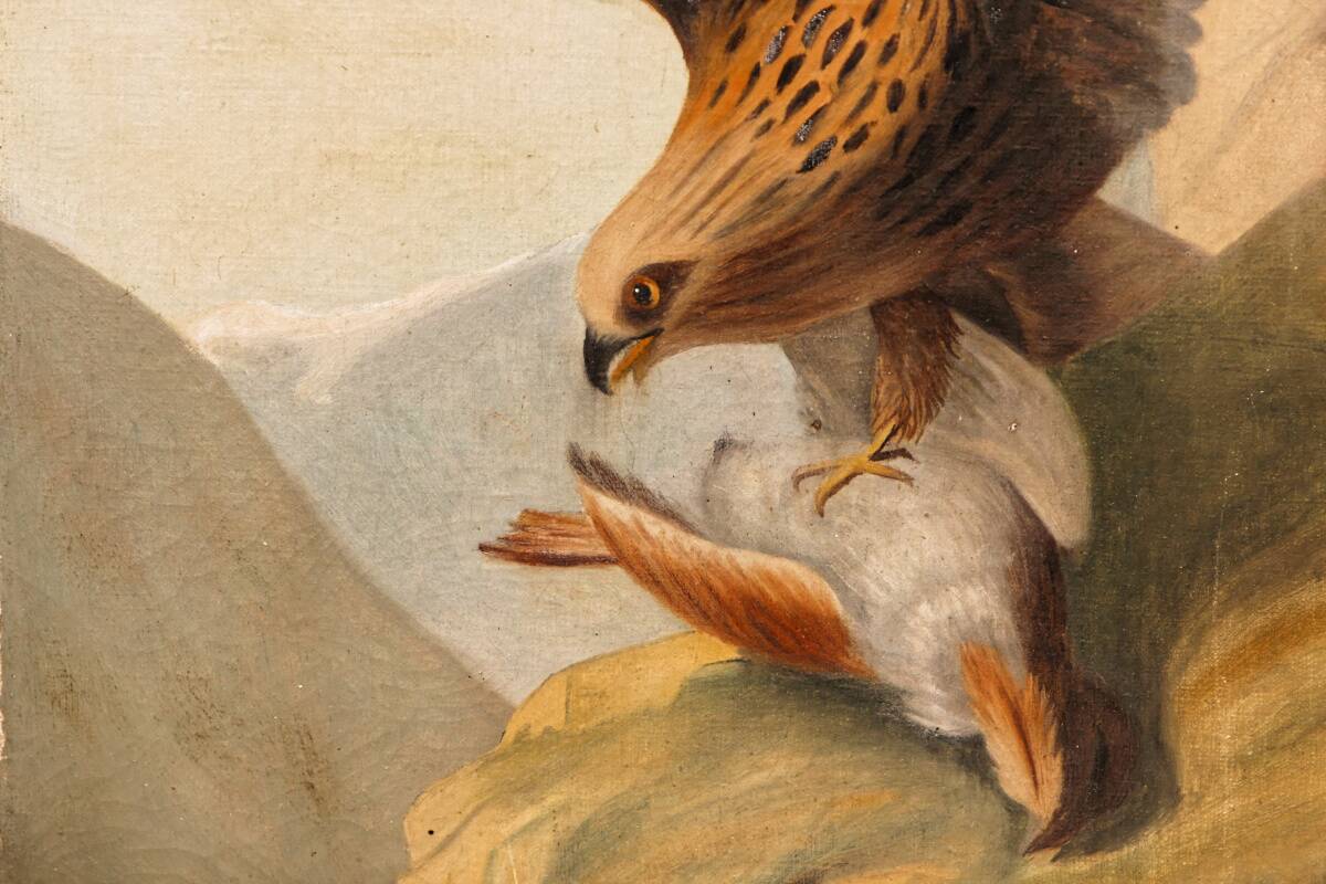 Oil on canvas, eagle and its prey, 19th century