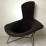 Bird Model Armchair by Harry Bertoia for Knoll, 1970s