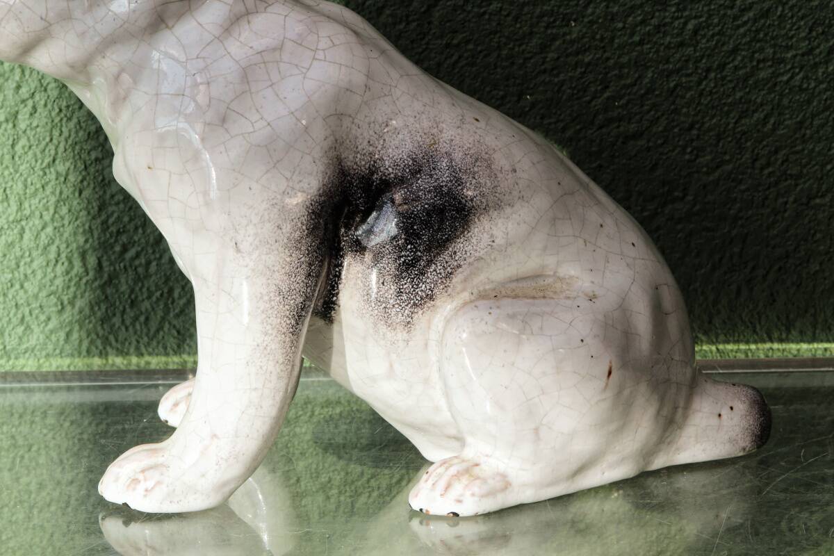 Chien, bouledogue, en terre cuite de Bavent
