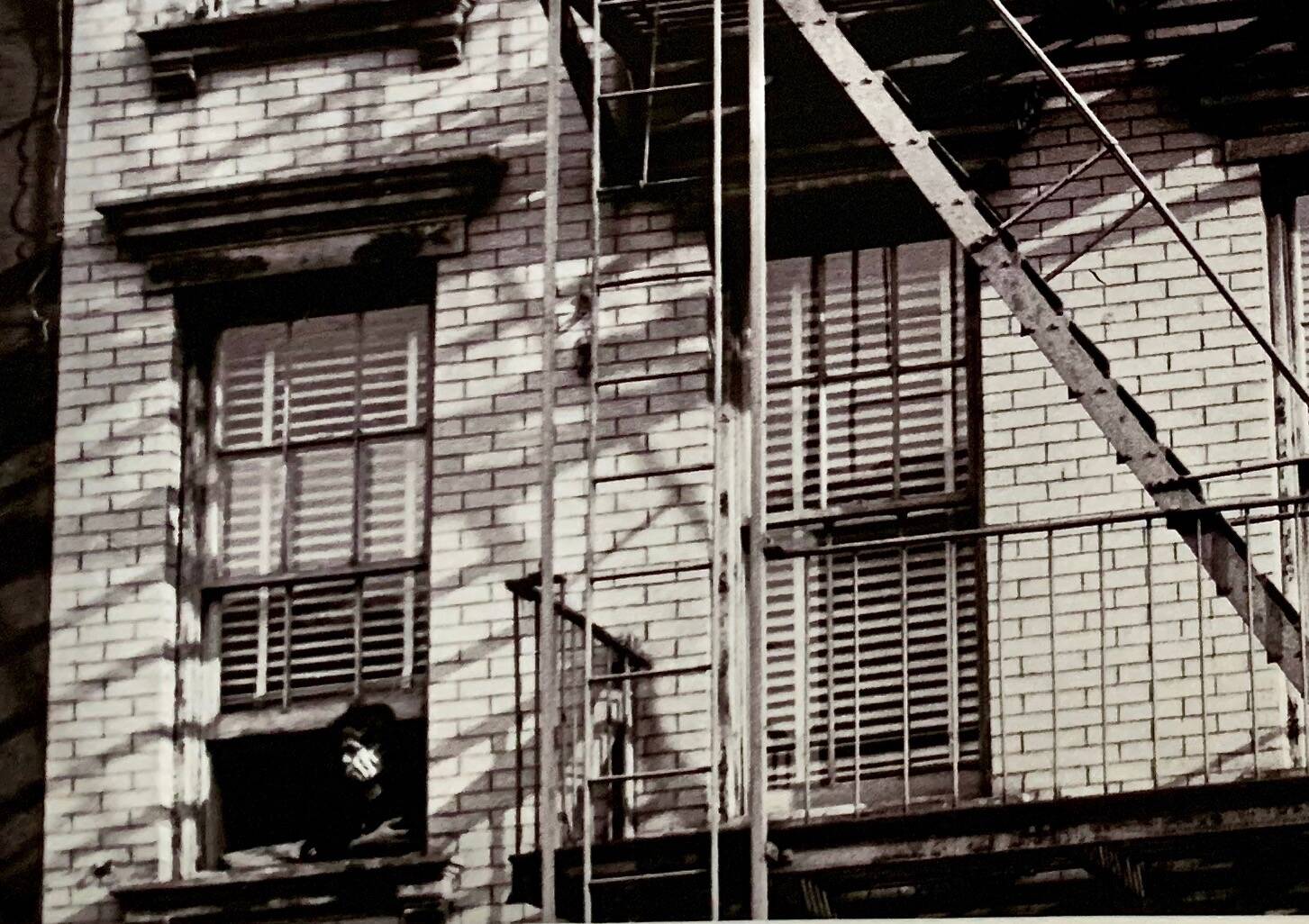 Photo New York 1953 – Fire escape & woman at the window