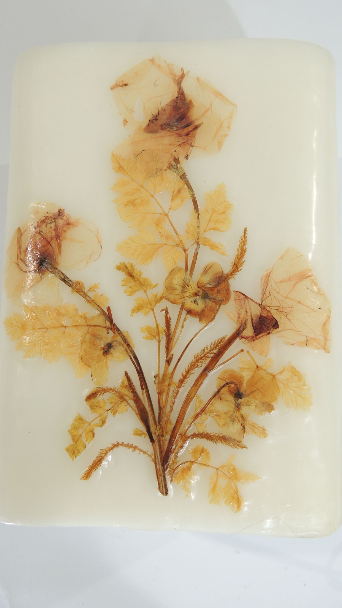 Lampe "Herbier" en cire vintage