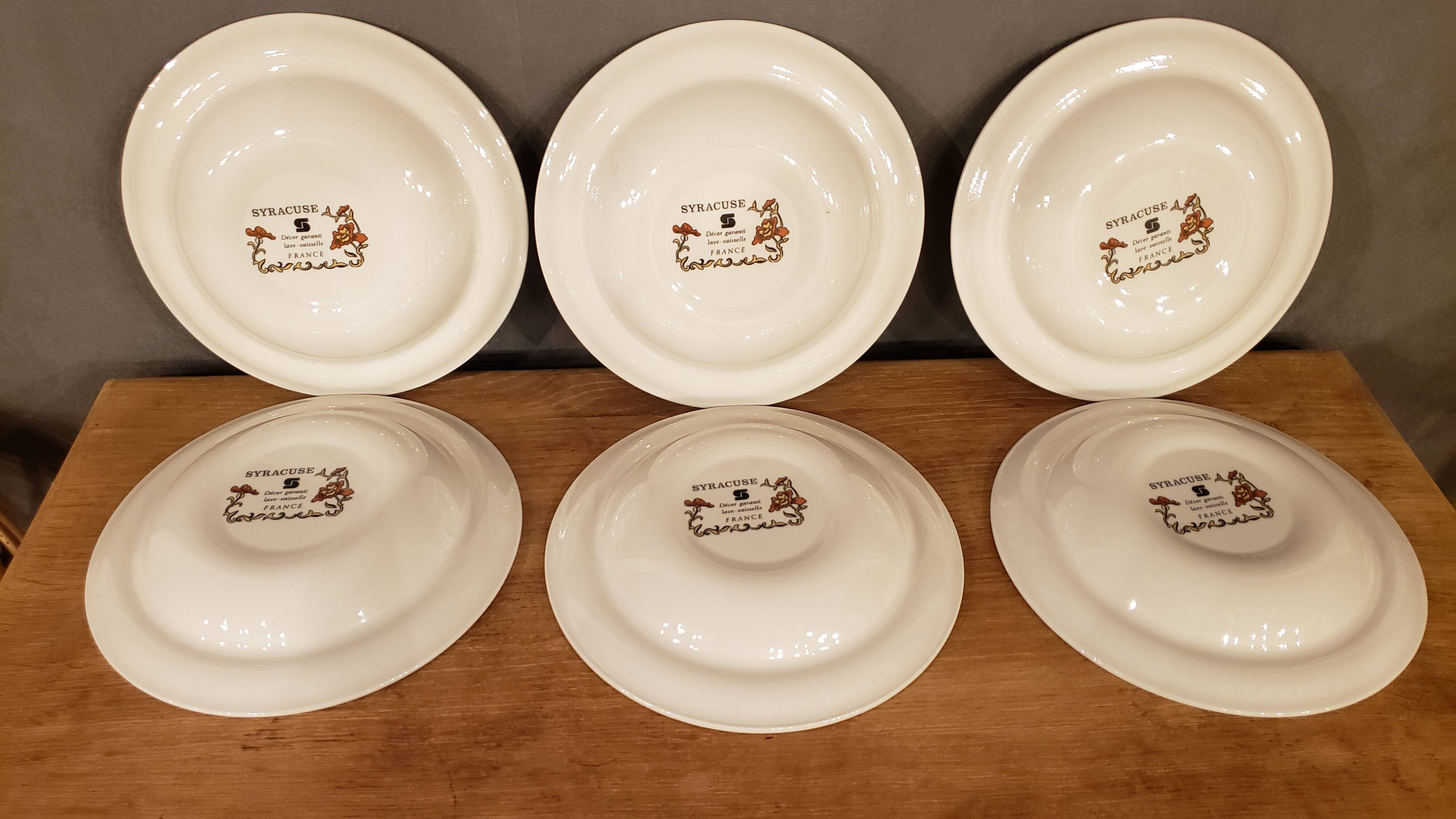 6 soup plates Syracuse Sarreguemines Flower Decor