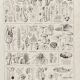 Old illustration Millot "Mushrooms"