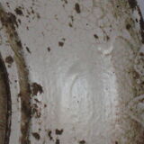 Dish