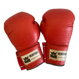 Boxing gloves