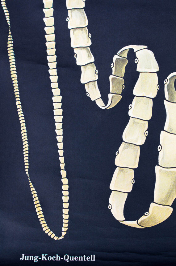 Wall poster of the school from Jung-Koch-Quentell "worms" 1972