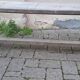 Pair of solid raw wood benches XIX