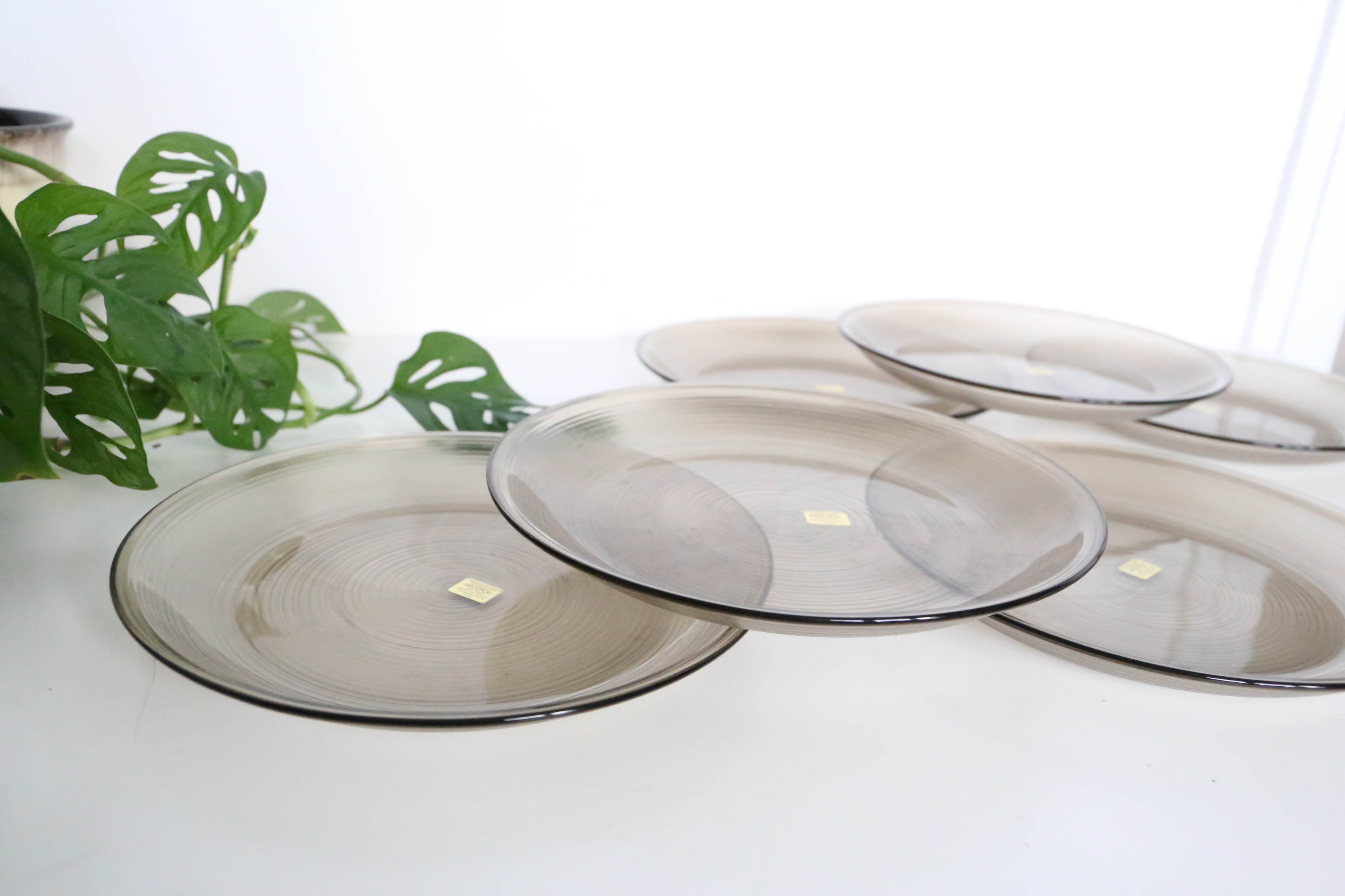 Set of 6 flat plates Arcoroc, in gray smoked glass, vintage French