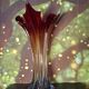 Murano glass vase, blown, gradient red, original antique label.