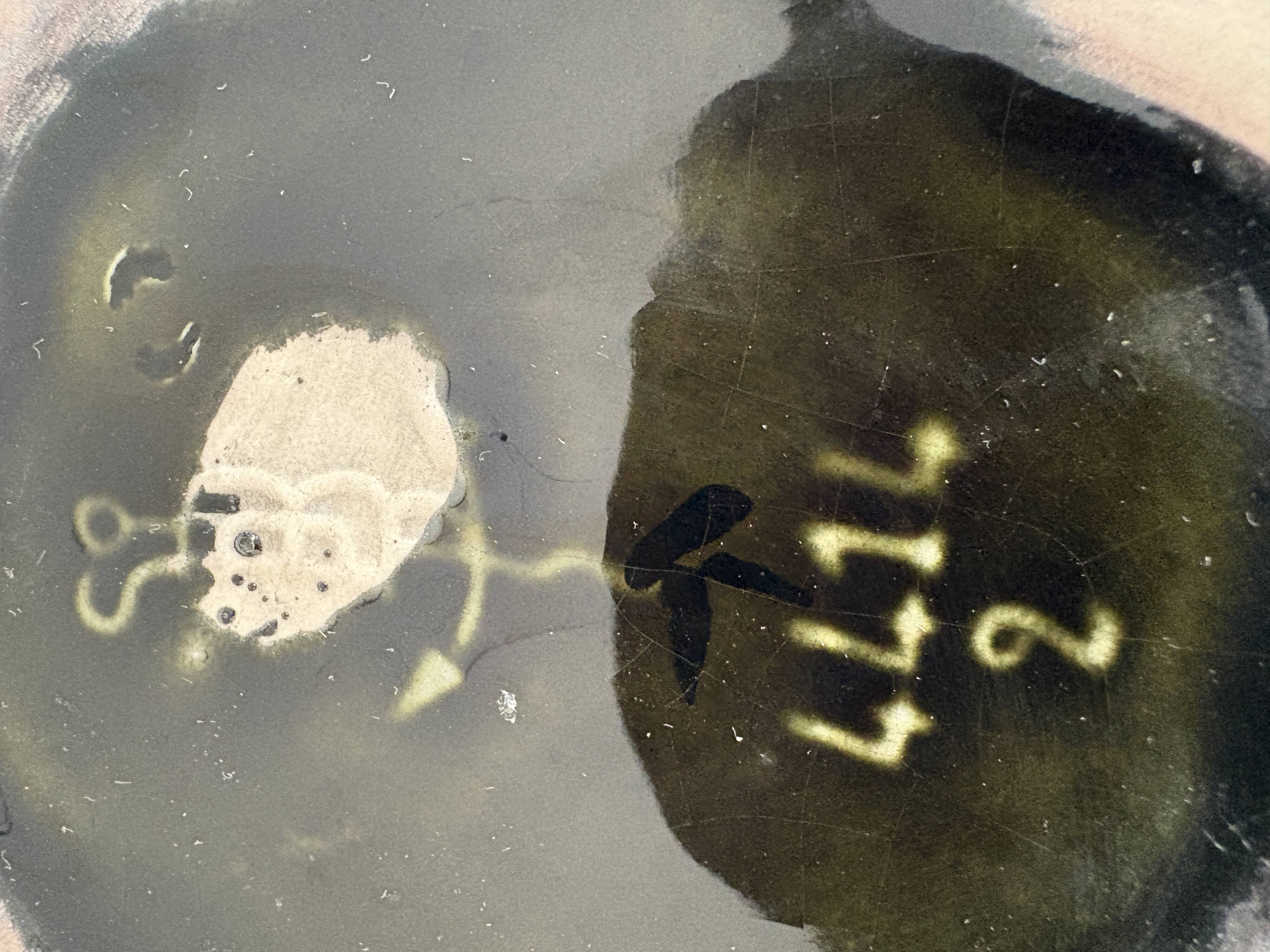 Antique ceramic vase by De Bruyn with floral decoration.