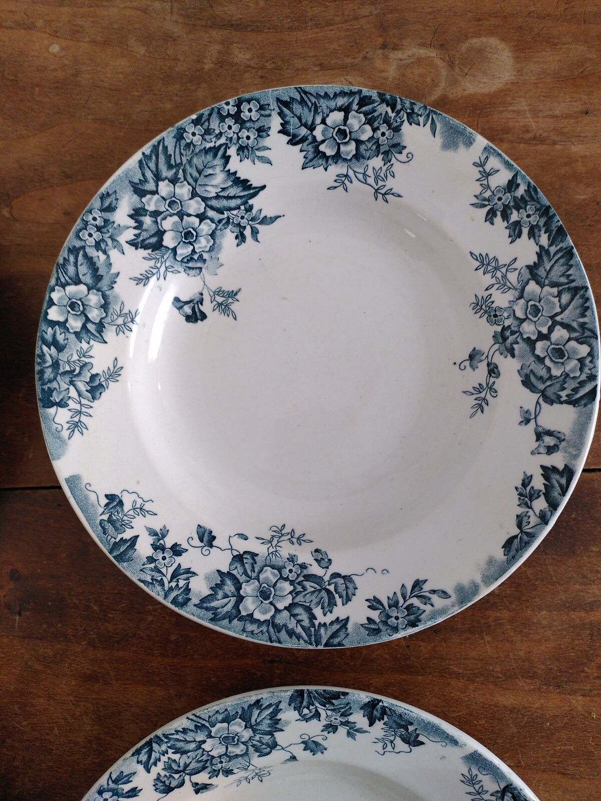 Set of flat and hollow plates in Terre de Fer Saint Amand & Hamage