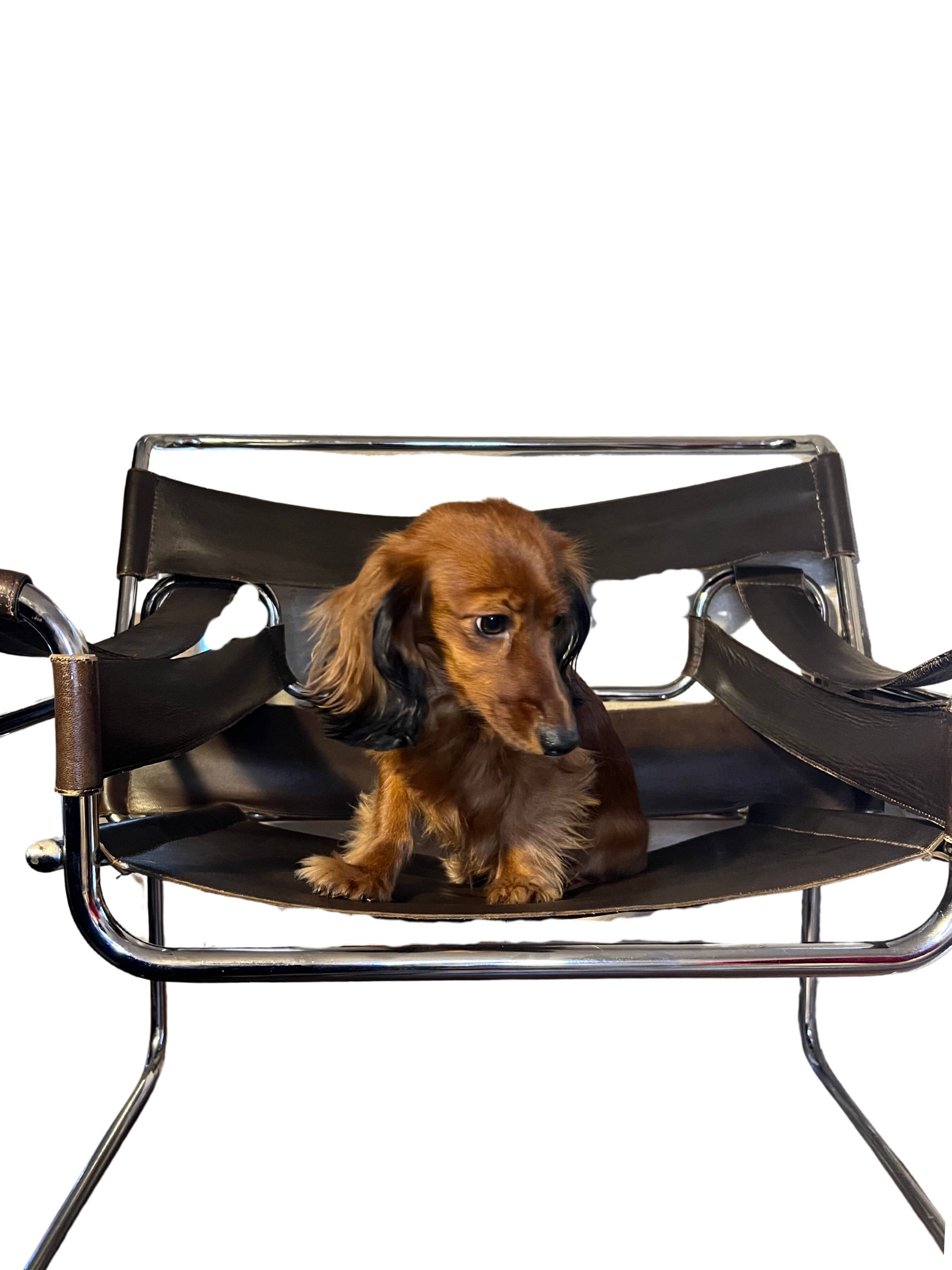 Wassily Breuer armchair
