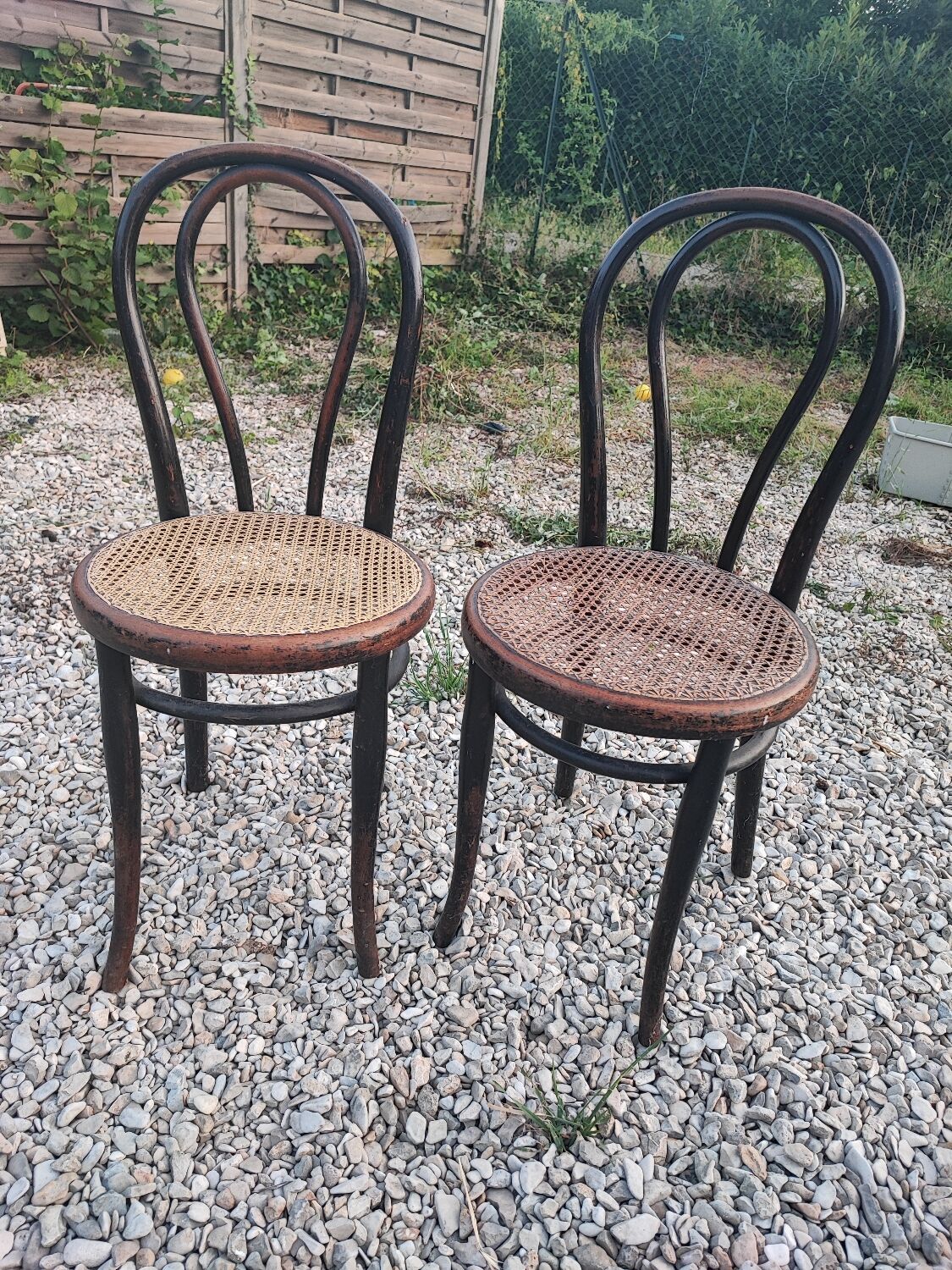 Duo de chaises cannées, Thonet Austria