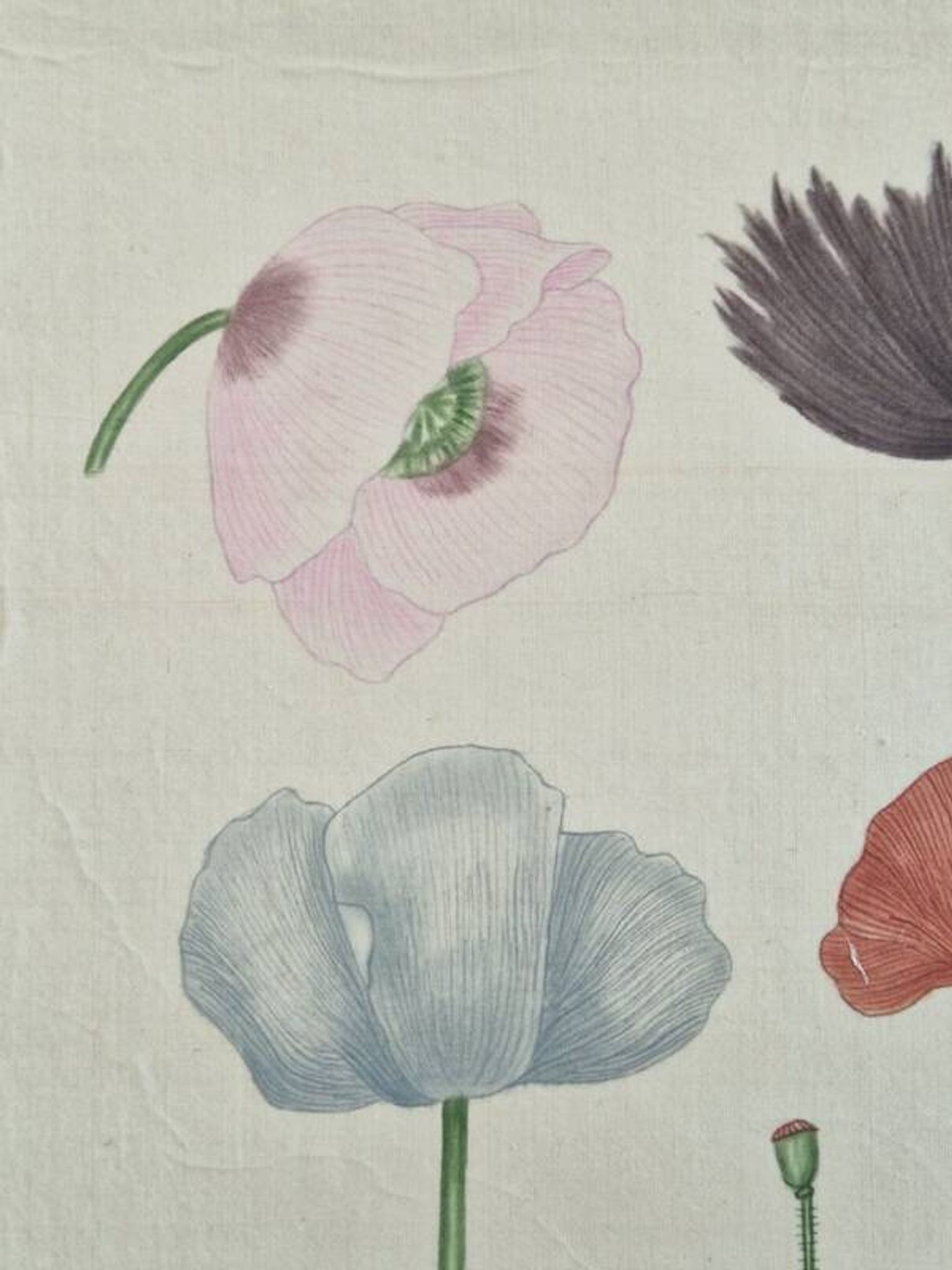 La Roche Laffitte (Born in 1943) - Watercolour drawing on silk - Poppies