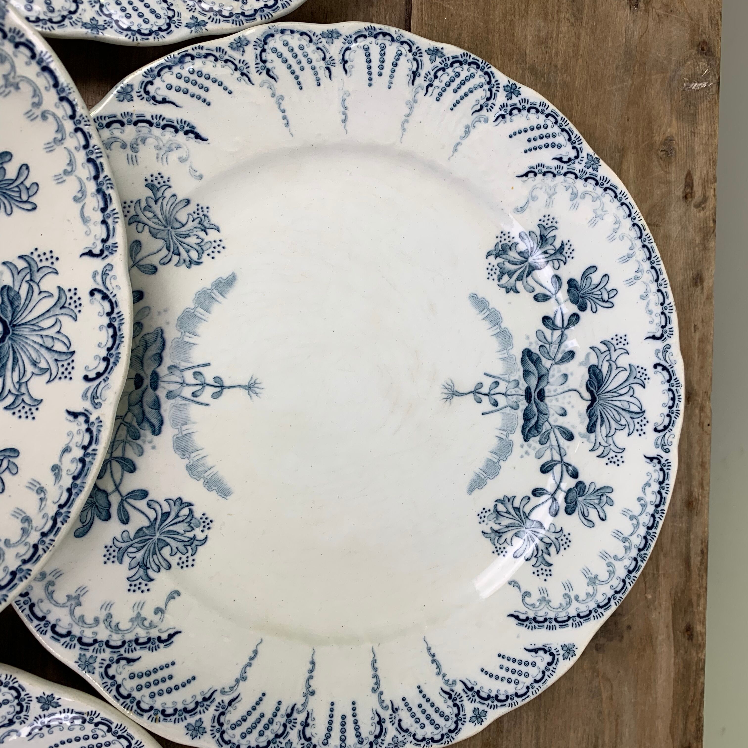 Set of 6 Saint Amand plates , Regency