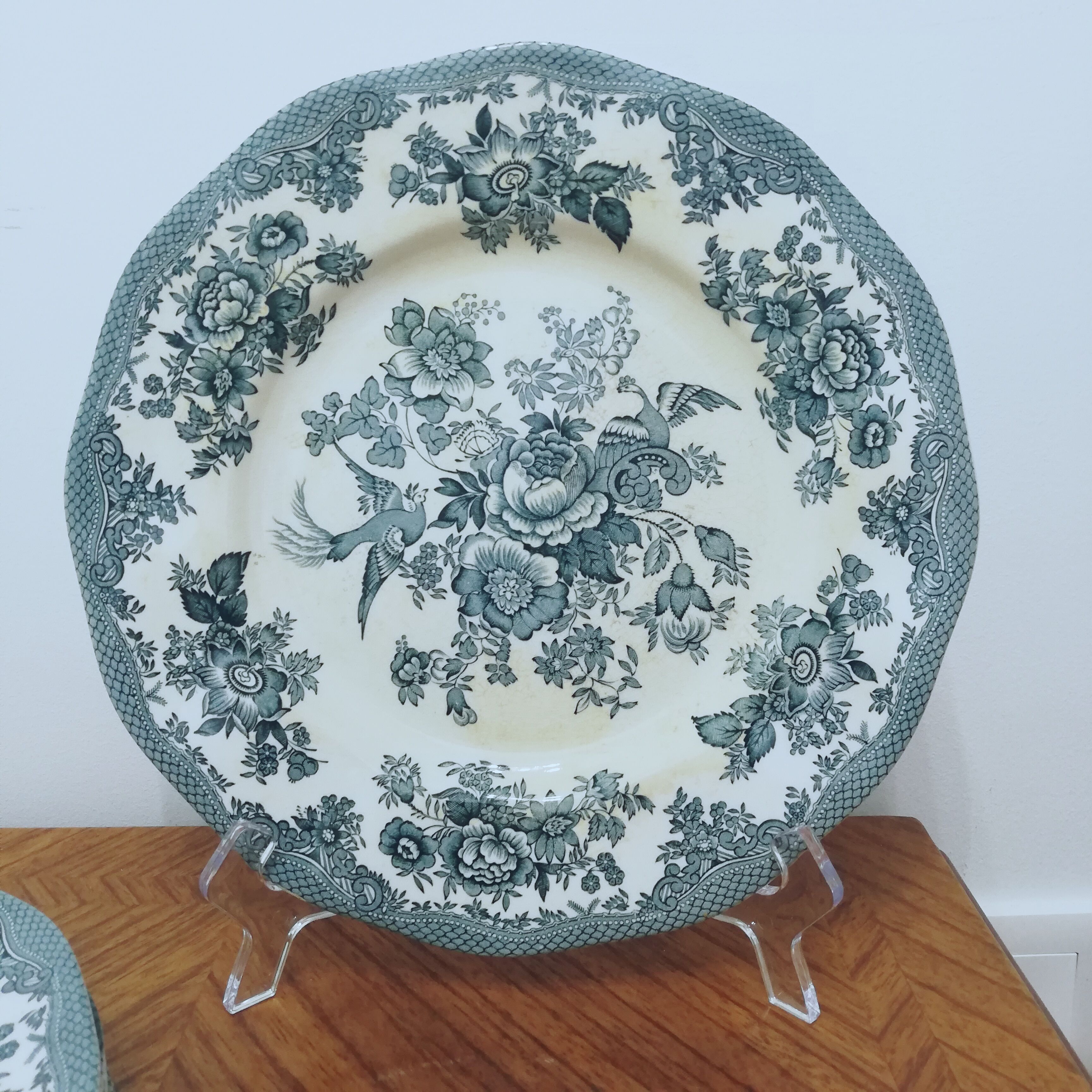 6 earthenware plates Enoch Wedgewood décor "asiatic pheasants"