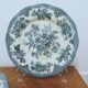 6 earthenware plates Enoch Wedgewood décor "asiatic pheasants"