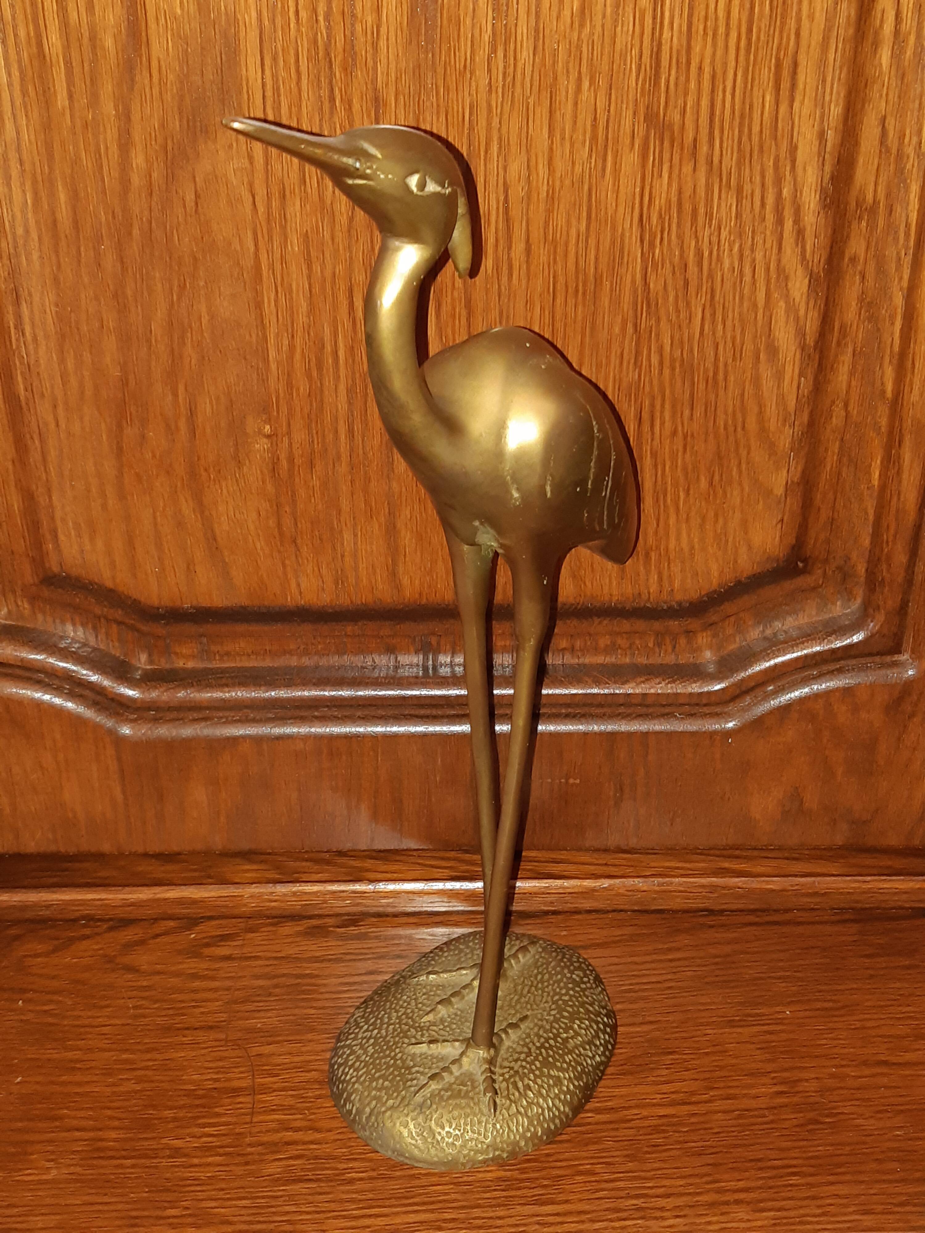 Brass-bronze egret bird