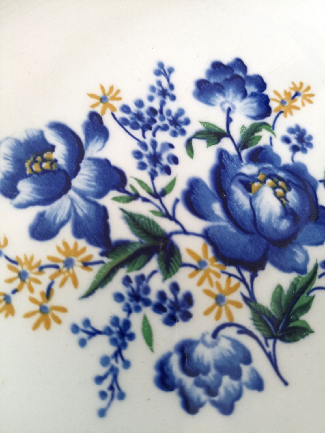 Moulin des loups plate