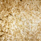 Space Age fibreglass chandelier by Luci Italia, Italy, 1960s