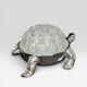 Turtle-shaped flower holder