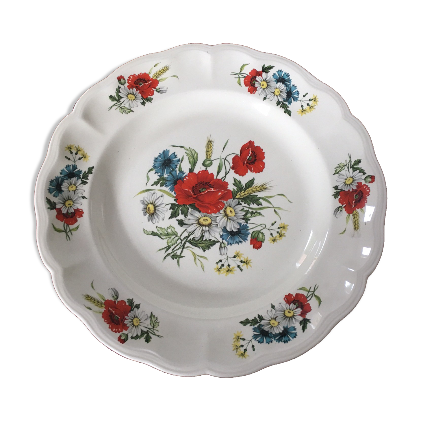 Plat Luneville France