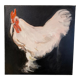 Rooster painting
