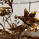 Vintage gilt metal flower side table, italy 1960