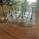 White wine glasses
