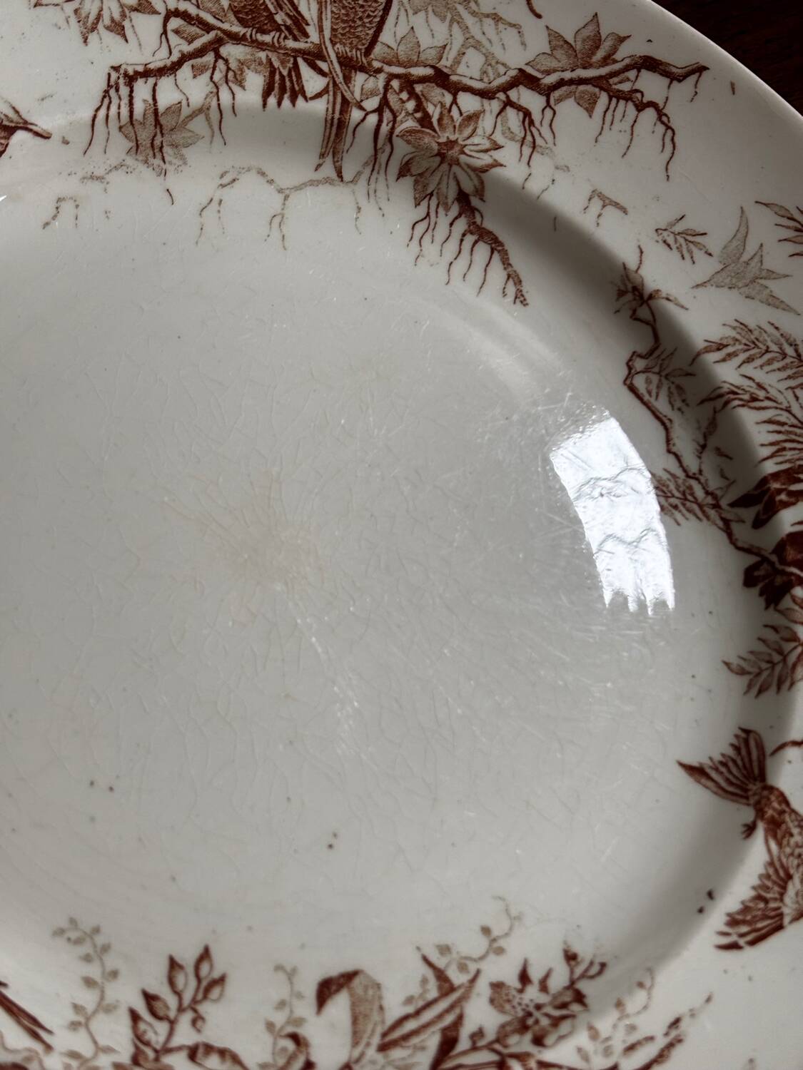 Antique KG Luneville round serving dish, colibri sepia