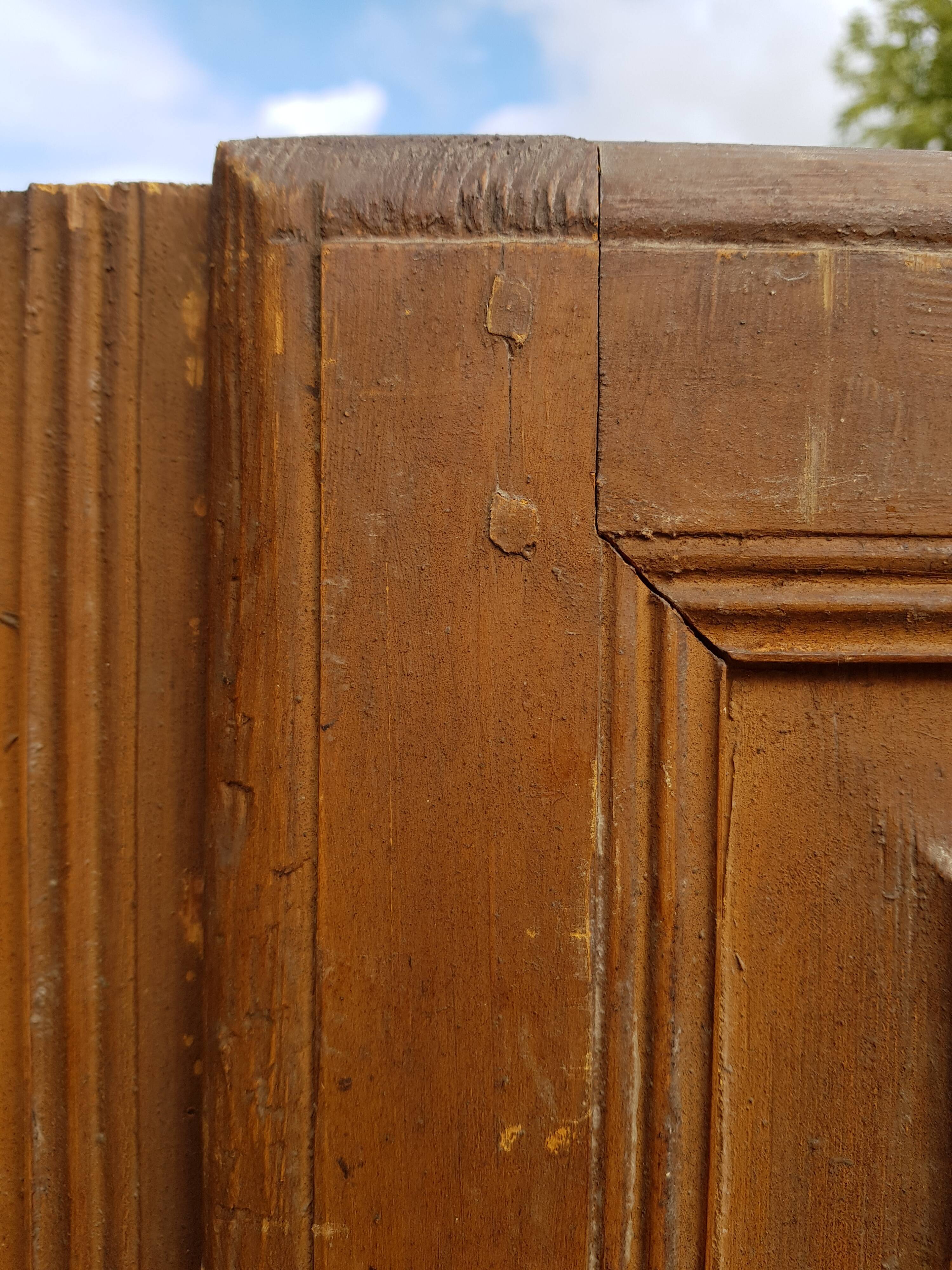 Pair of door in 19th century fir