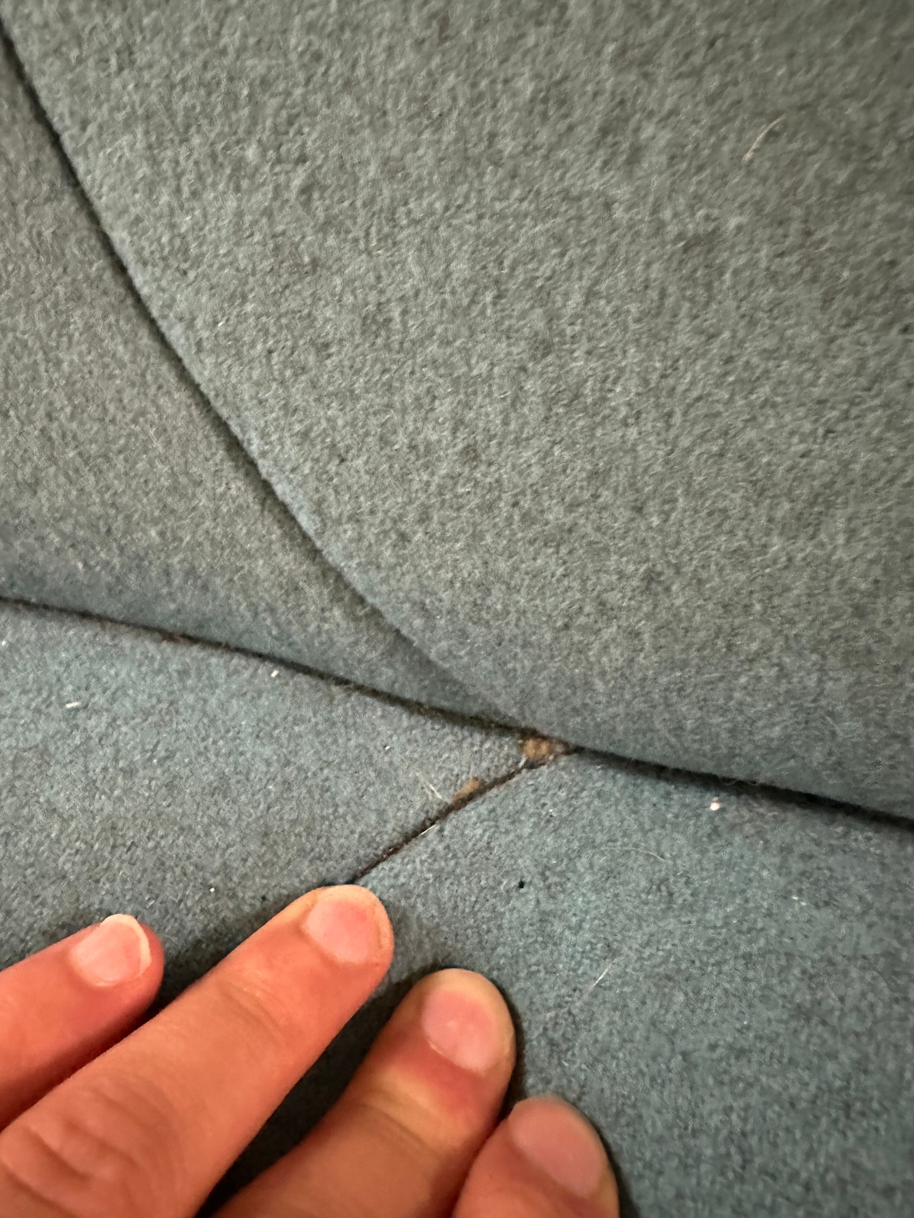 3 Seater Sofa "Pumpkin" by Paulin