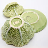 Mustard bush slurry light green cabbage leaf