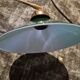 Opaline green white with brass billiard pool lamp 110-150 cm 3 shades