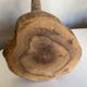 Country stool made of solid elm wood