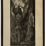 "Undergrowth" by Jean-Marie Estebe
