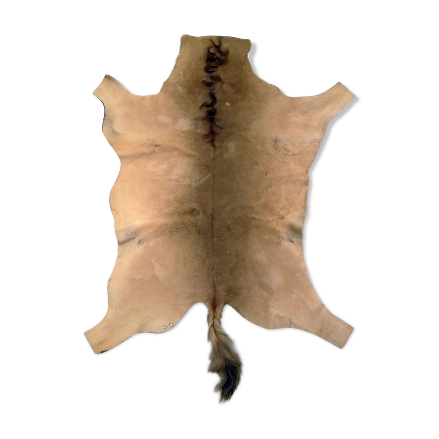 Vintage horse Skin 80 x 110 cm