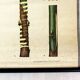 Vintage School Botanical Posters, 1950s, Set of 3