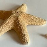 Vintage starfish