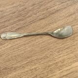 Salt spoon
