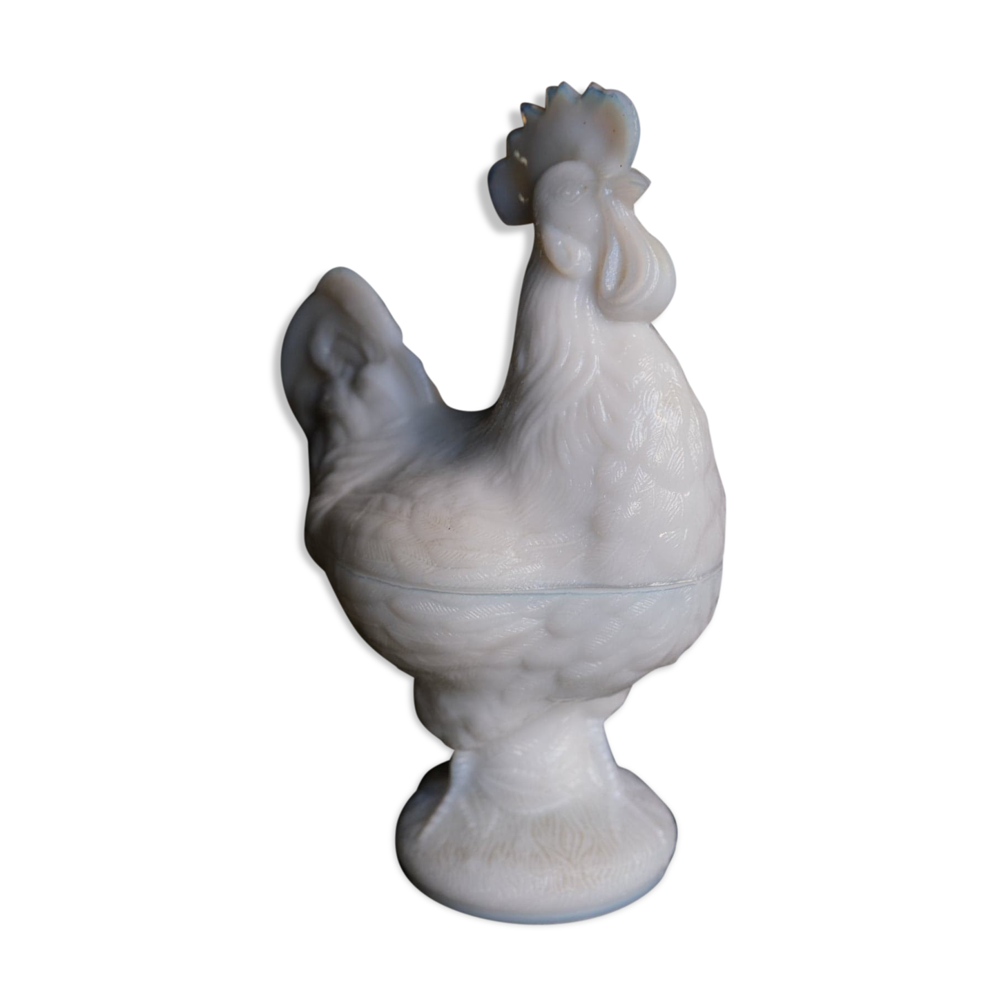 Opaline fair rooster