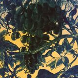 Original lithograph by Gérard Diaz (1938-2021), "la vigne, le raisin, le vin", 1999.