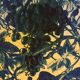 Original lithograph by Gérard Diaz (1938-2021), "the vine, the grape, the wine", 1999.